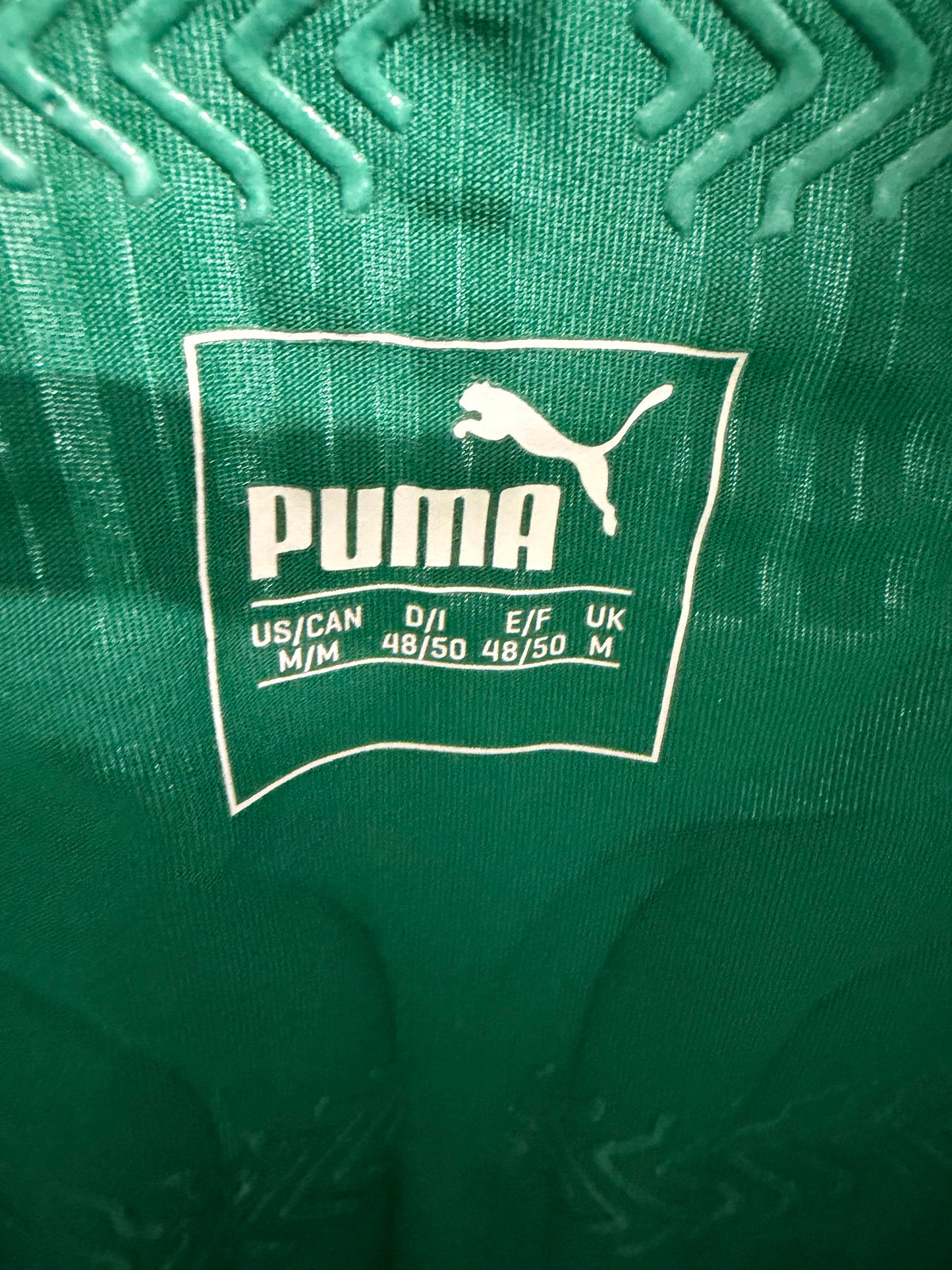 Panathinaikos Home 2016/17 Match Worn Tasos Chatzigiovanis size M 8/10